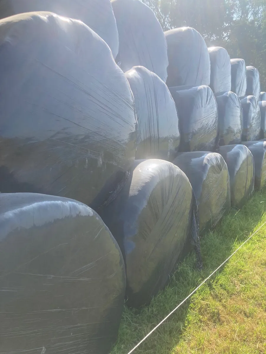 Silage bales