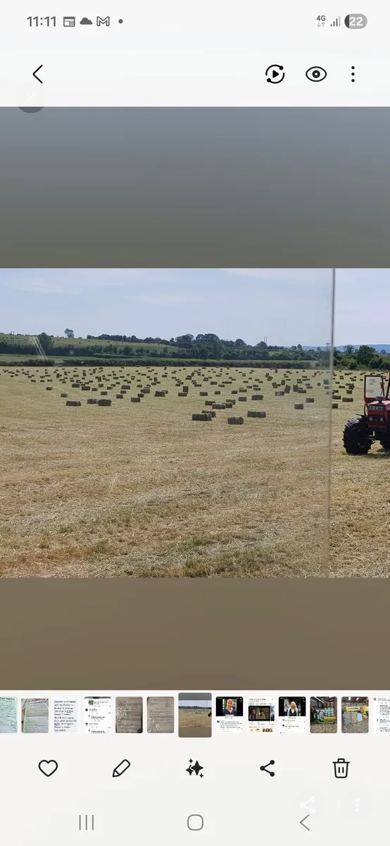 Square bales of hay - Image 1