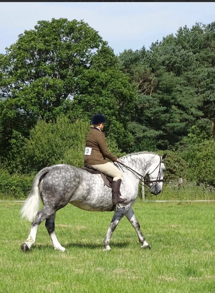 Hunter - Image 2