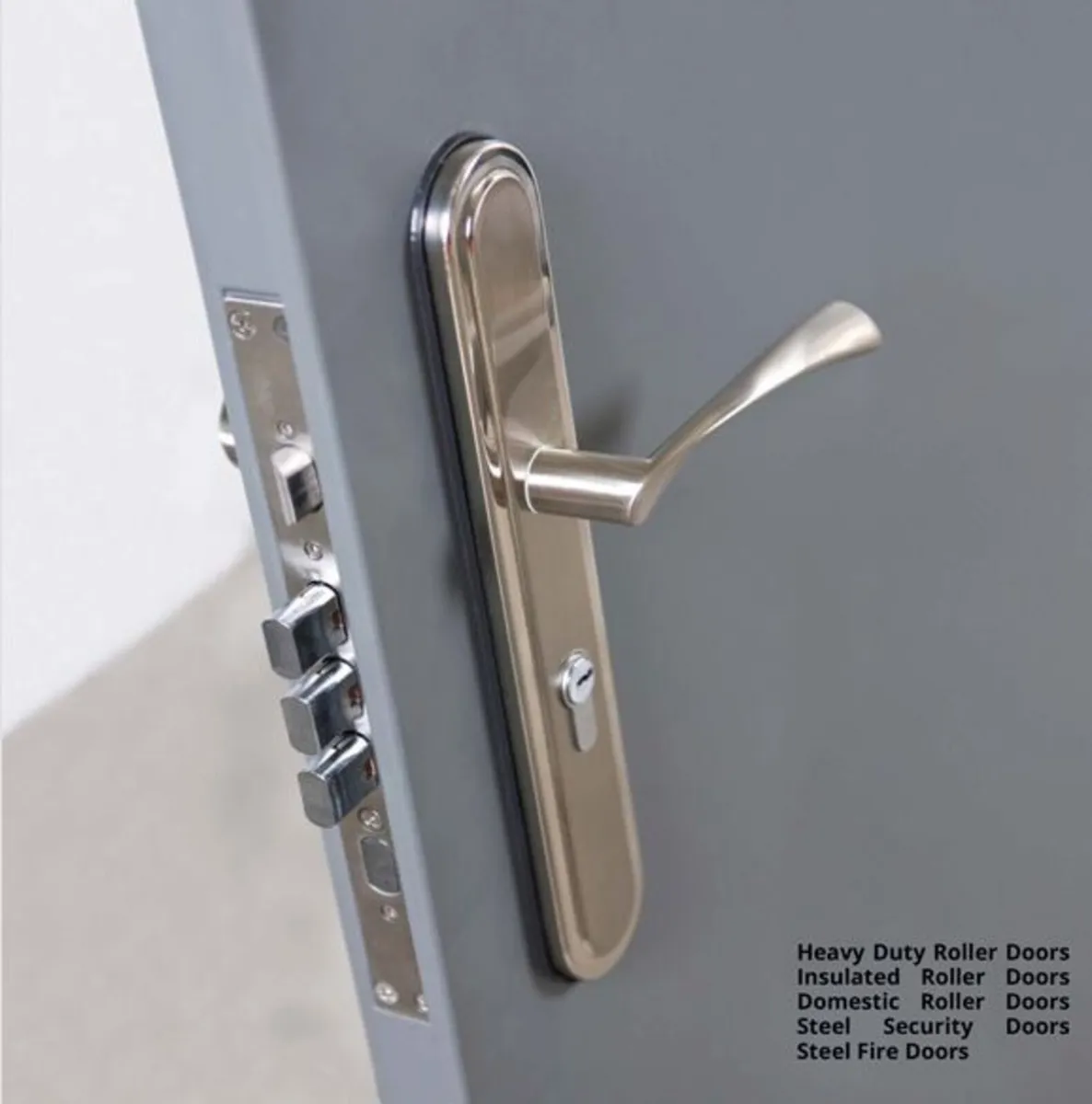 steel  pedestrian  hinged  security  doors - Image 2