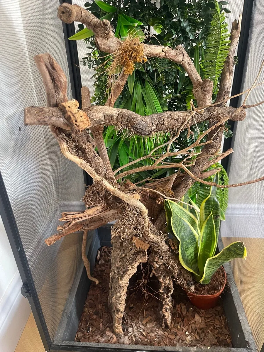 Large Zoo Med Reptile / Chameleon Cage with Access - Image 3
