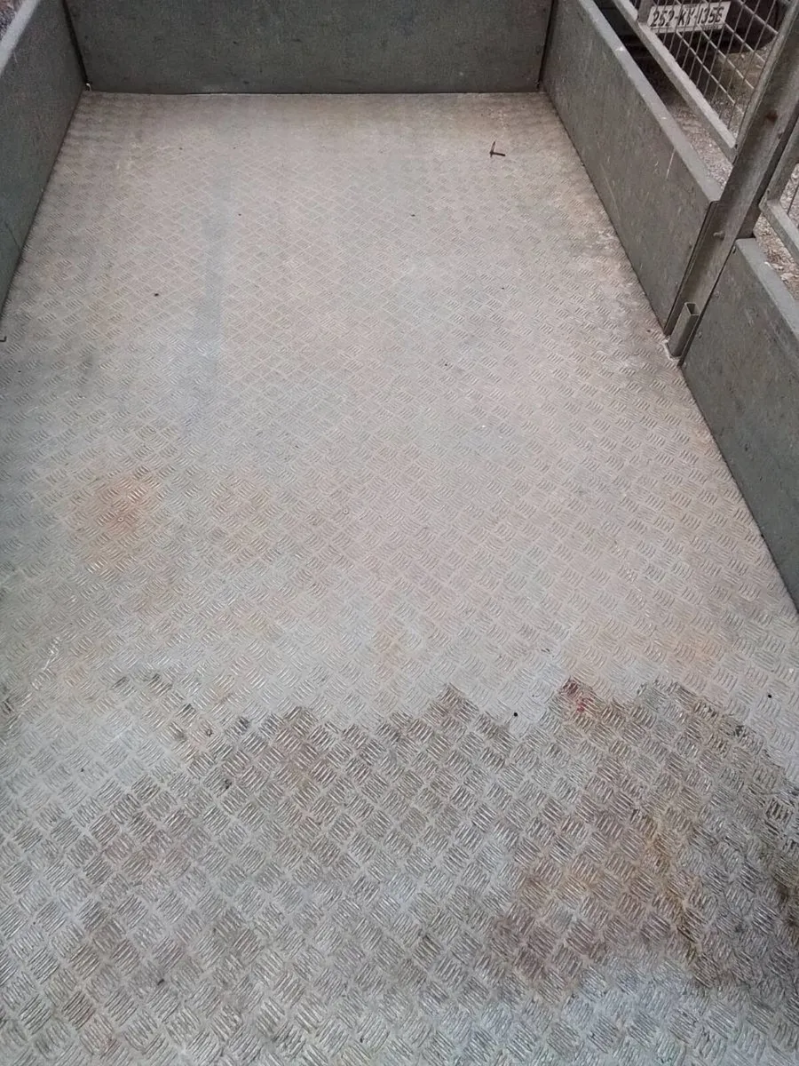 Trailer - Image 4
