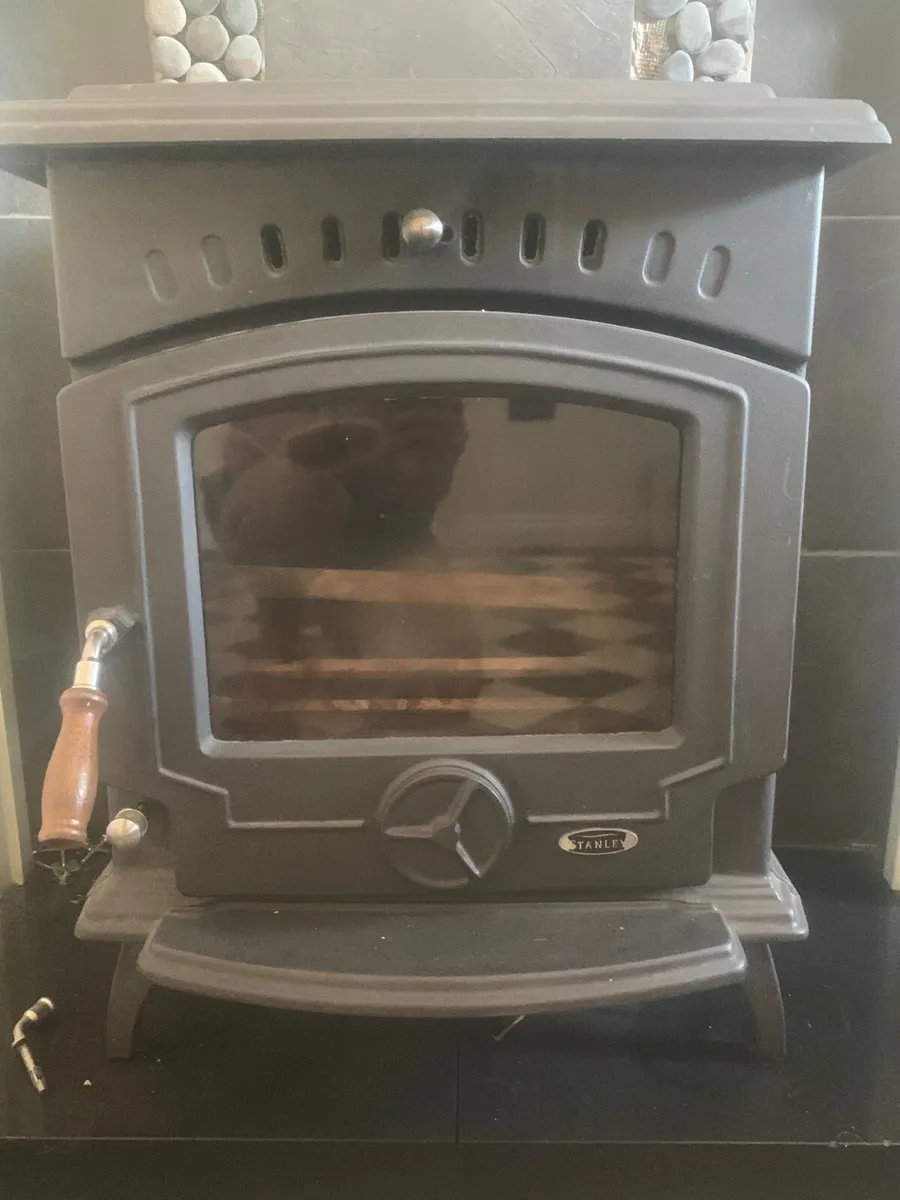 Stanley Tara Stove - Image 2