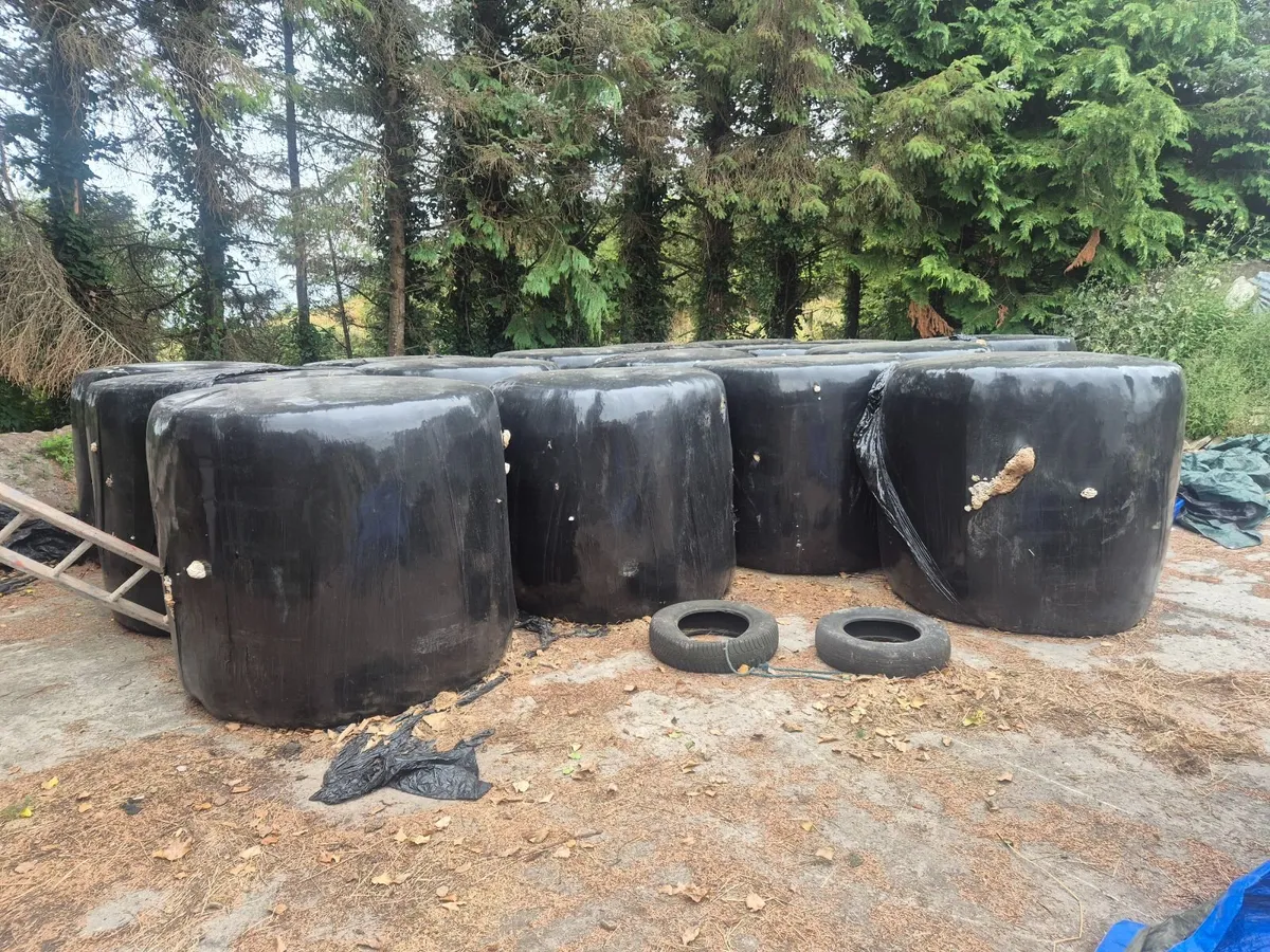 Haylage