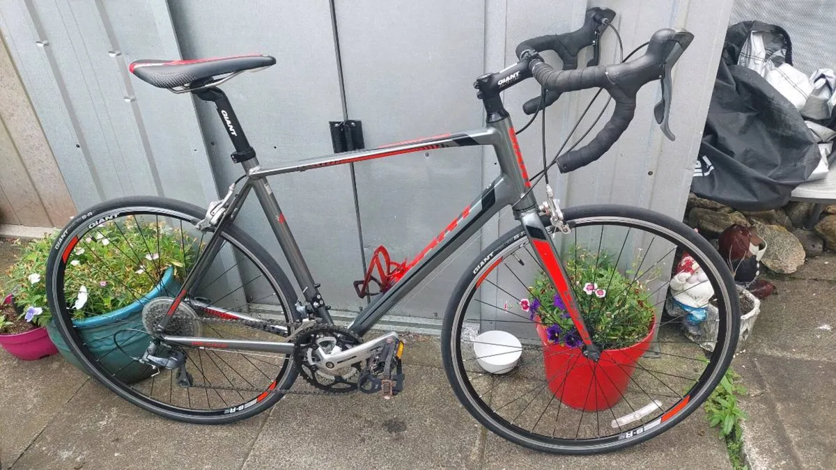 Giant Defy "Mint As New Condition" Road Bike - Image 1