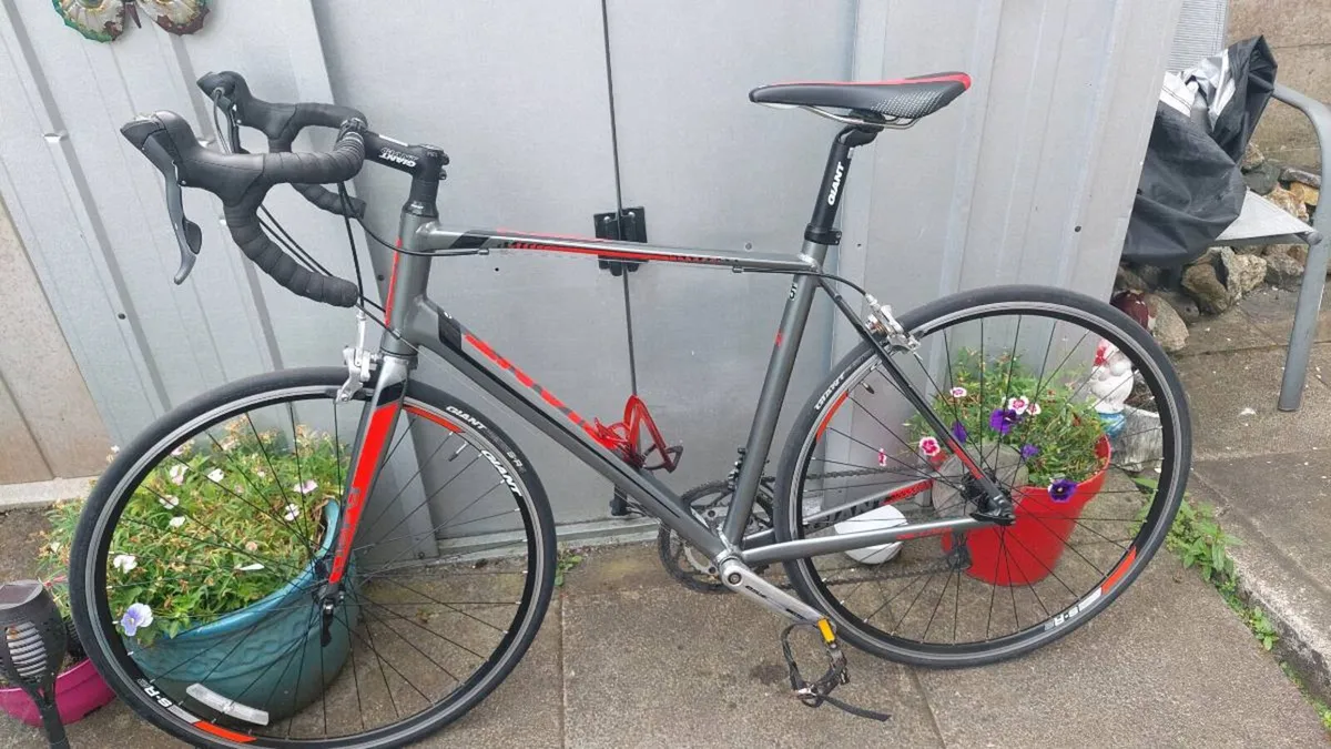 Giant Defy "Mint As New Condition" Road Bike - Image 2