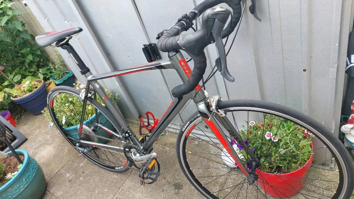 Giant Defy "Mint As New Condition" Road Bike - Image 3
