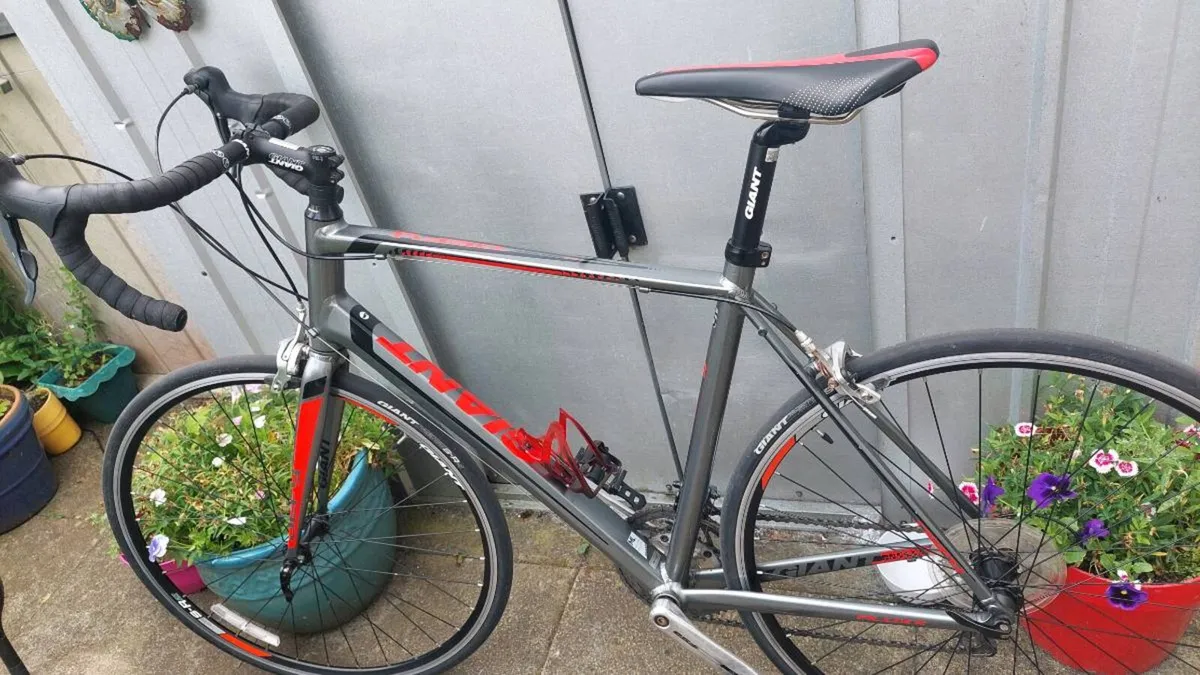 Giant Defy "Mint As New Condition" Road Bike - Image 4