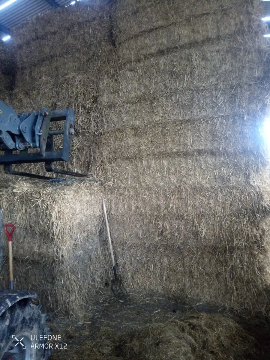 8 x 4 x 3 bales of  2025 wheaten straw
