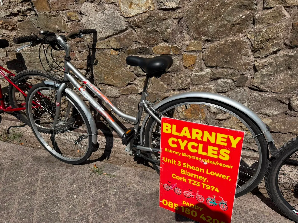 Bikes - Image 4