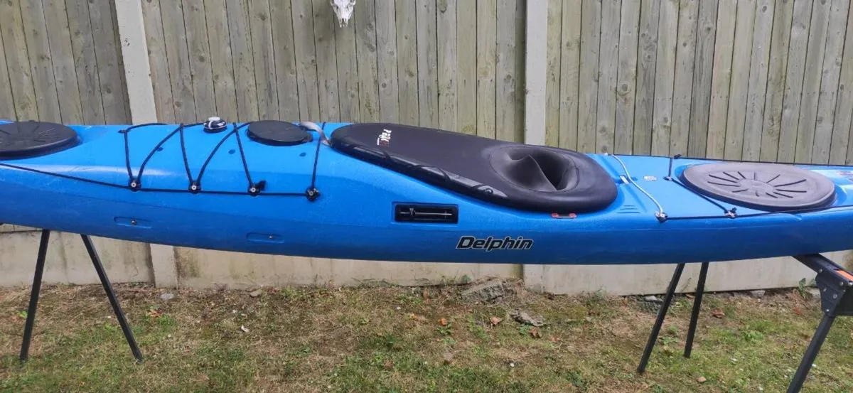 Kayak - Image 3