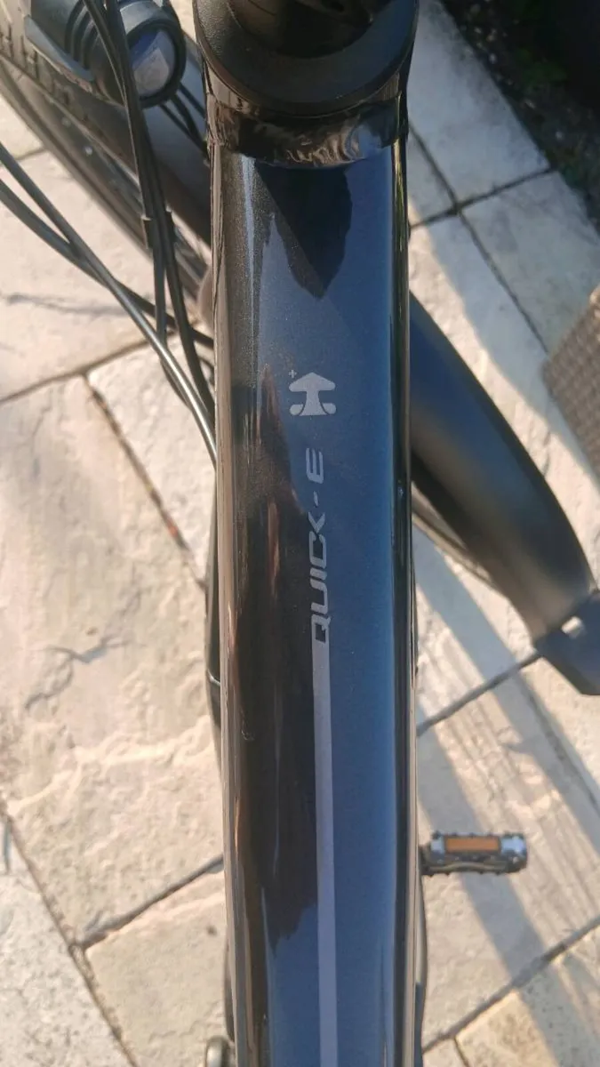 Giant ebike - Image 3