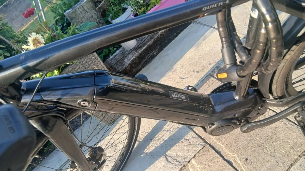 Giant ebike - Image 4