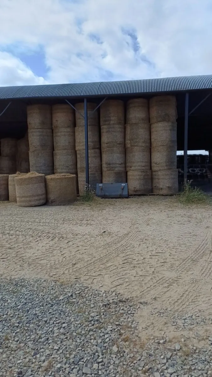 Hay - Image 1