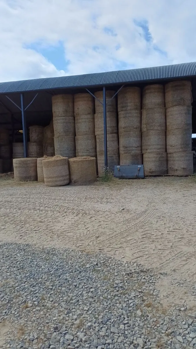 Hay - Image 2