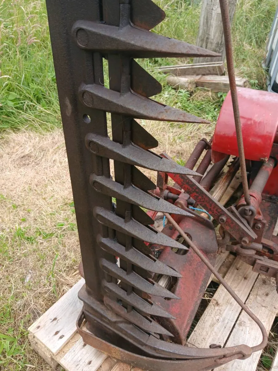 Interational finger bar mower hay flash - Image 3