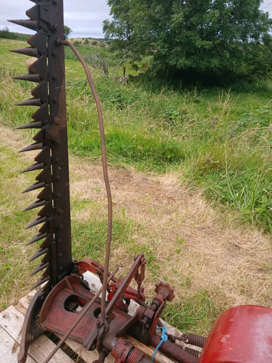 Interational finger bar mower hay flash - Image 2