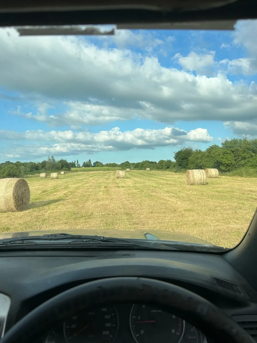 Hay - Image 3