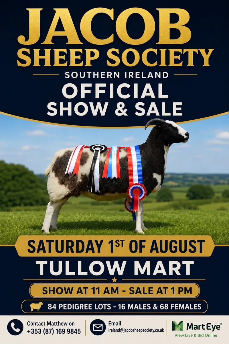 Jacob Sheep Society Sales 2026 - Image 2