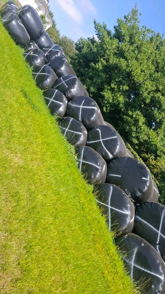Silage bales - Image 1
