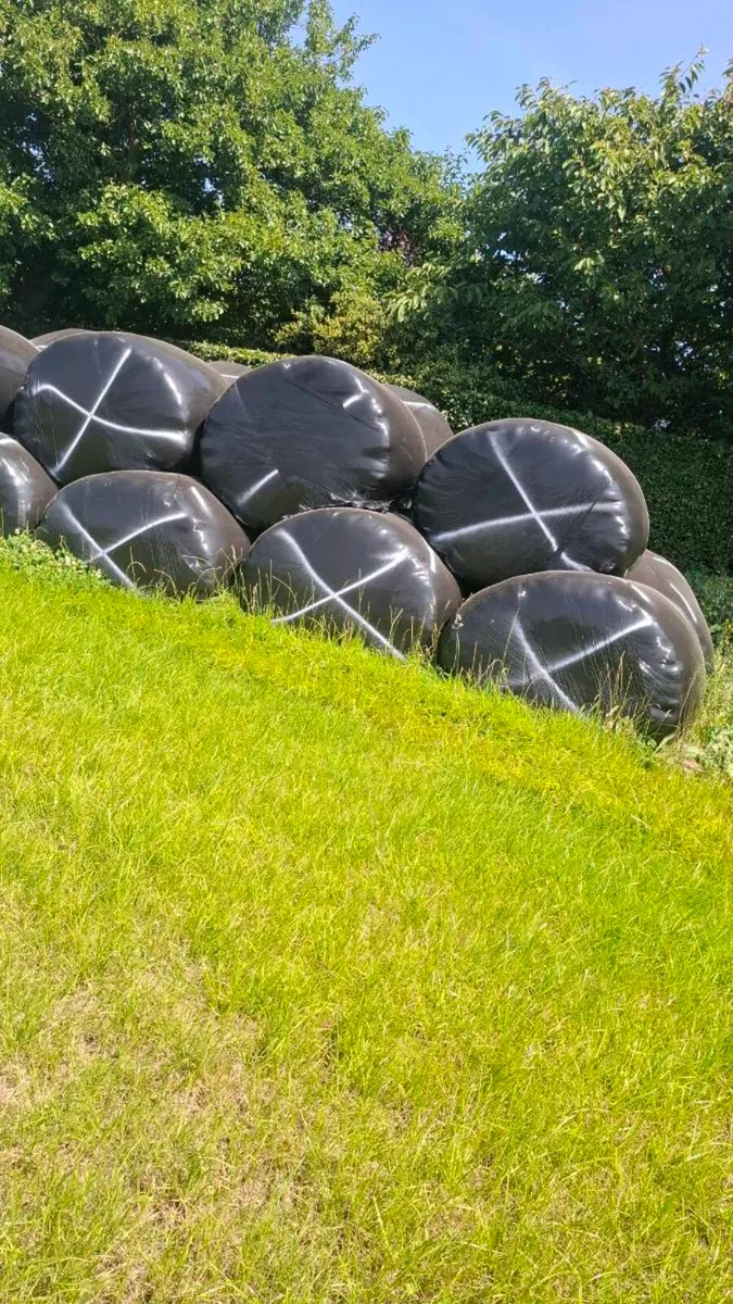 Silage bales - Image 2