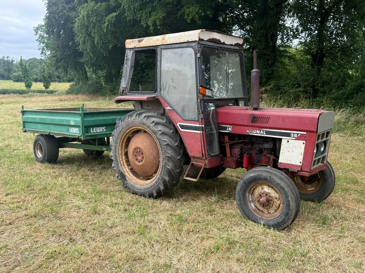 International 384 & 8x5 Lewis tipping trailer - Image 4