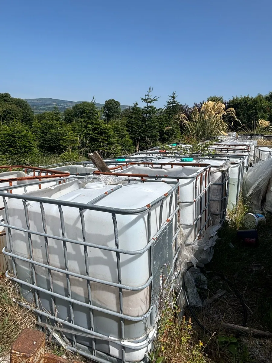 IBC tanks - Image 2