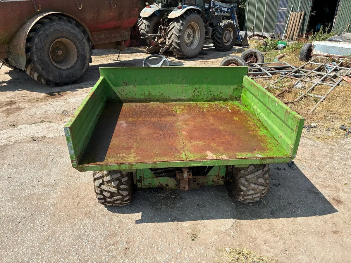 Gator - Image 3