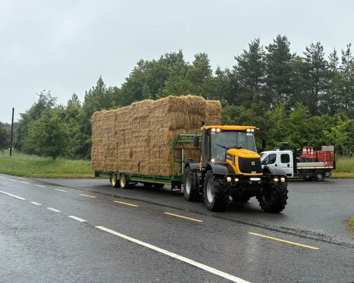 Hay - Image 2