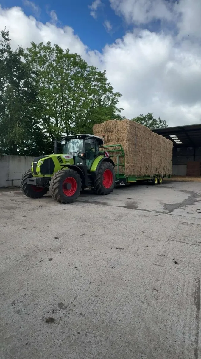 Hay - Image 3