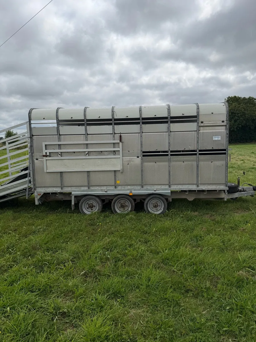 hudson livestock trailer with sheep decks - Image 1