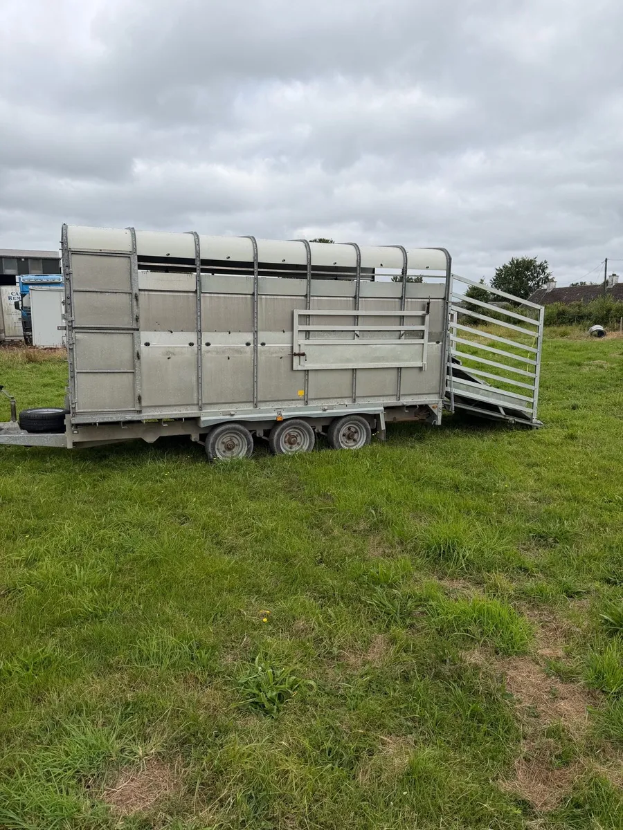 hudson livestock trailer with sheep decks - Image 4