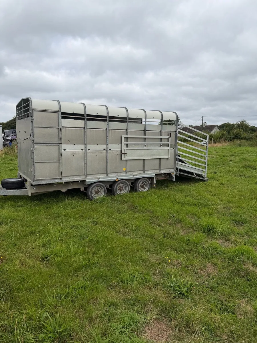 hudson livestock trailer with sheep decks - Image 2