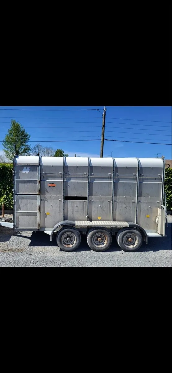 Hudson cattle trailer - Image 4