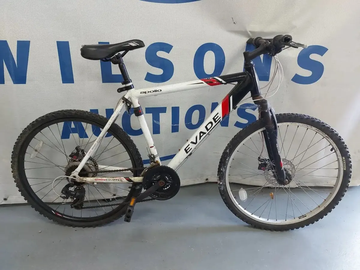 Push Bikes & Scooters Auction - Image 2