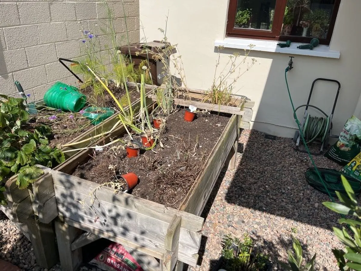 Veg Trough 65x155cms - Image 3