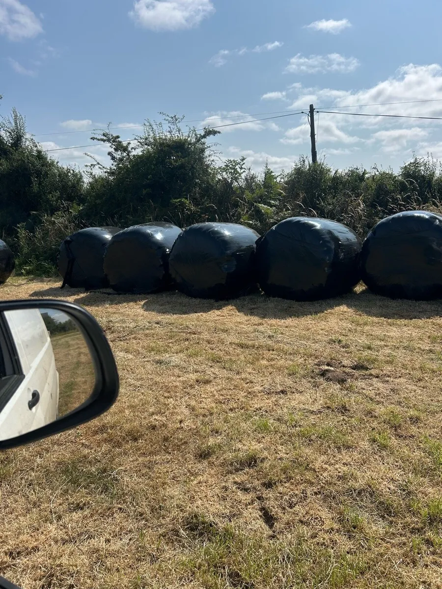 Top quality silage - Image 2
