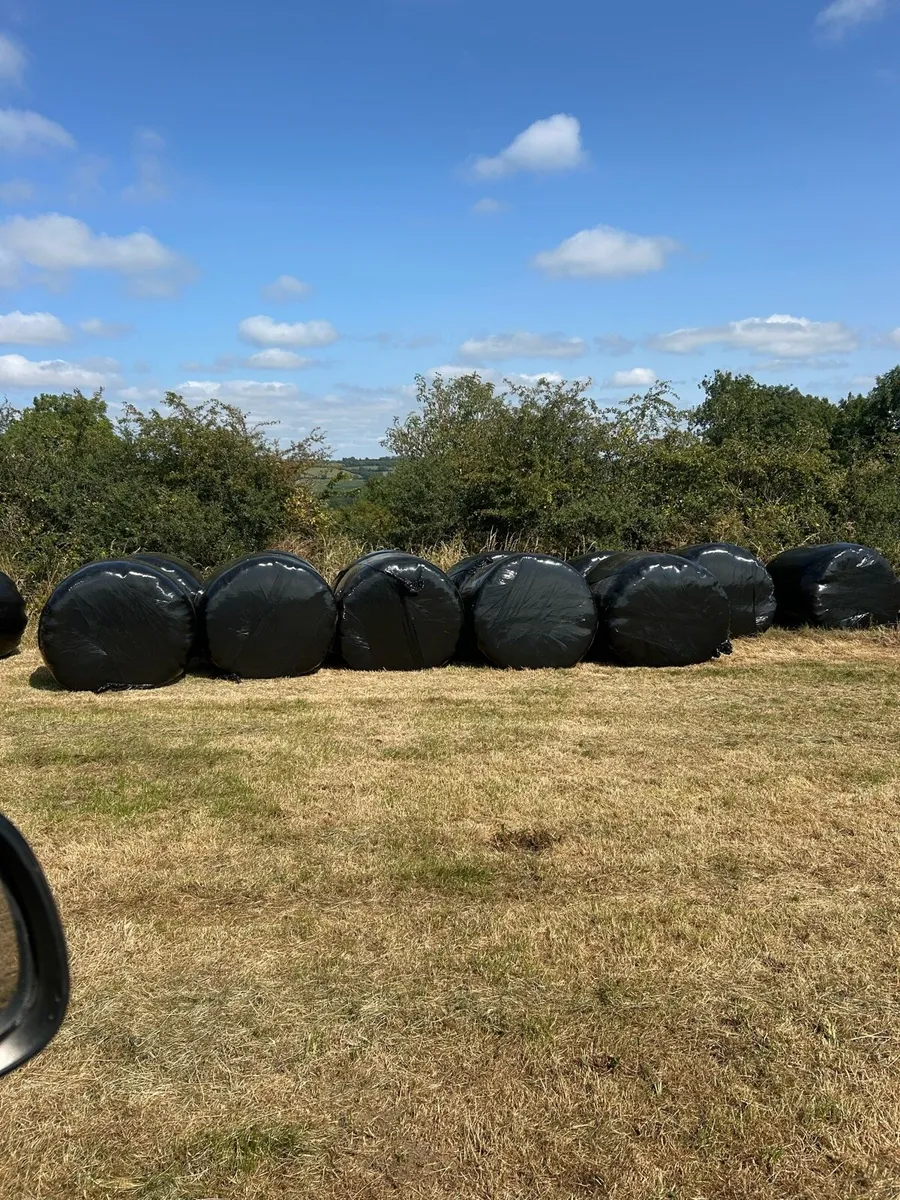 Top quality silage - Image 1