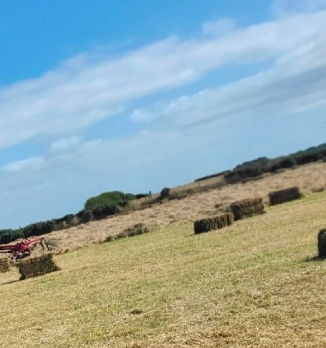 Small square bales of Hay - Image 3