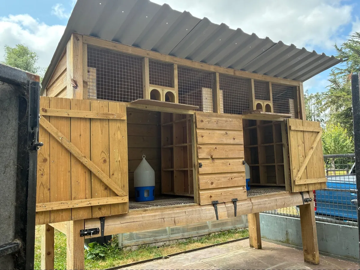 Double kit box for pigeons, Rollers, Tipplers etc - Image 1