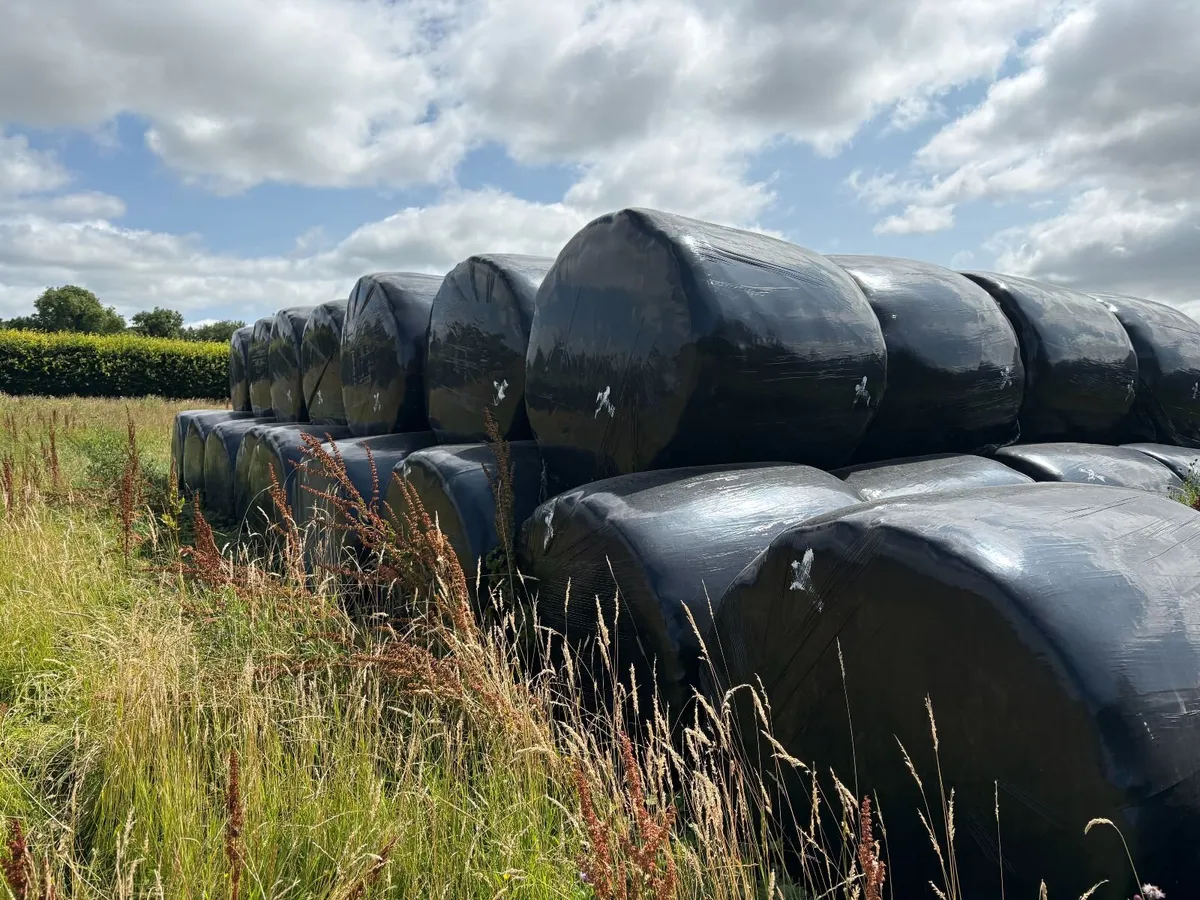Bales of Haylage for Sale - Image 2