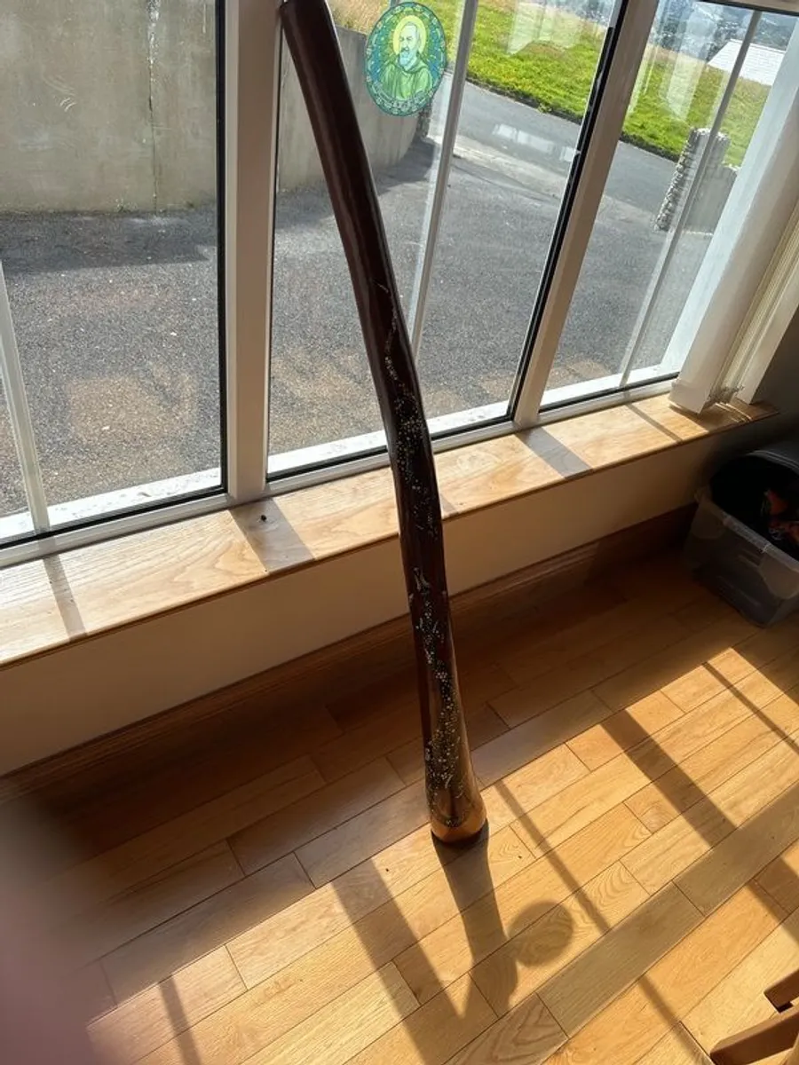 Hardwood Didgeridoo | Hand-Painted Goanna Artwork | Excellent Condition - Image 1