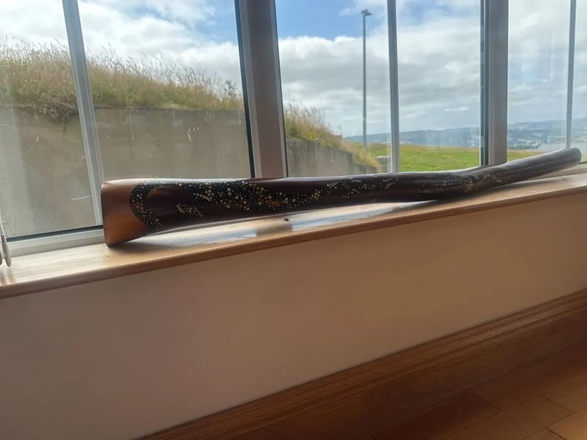 Hardwood Didgeridoo | Hand-Painted Goanna Artwork | Excellent Condition - Image 3