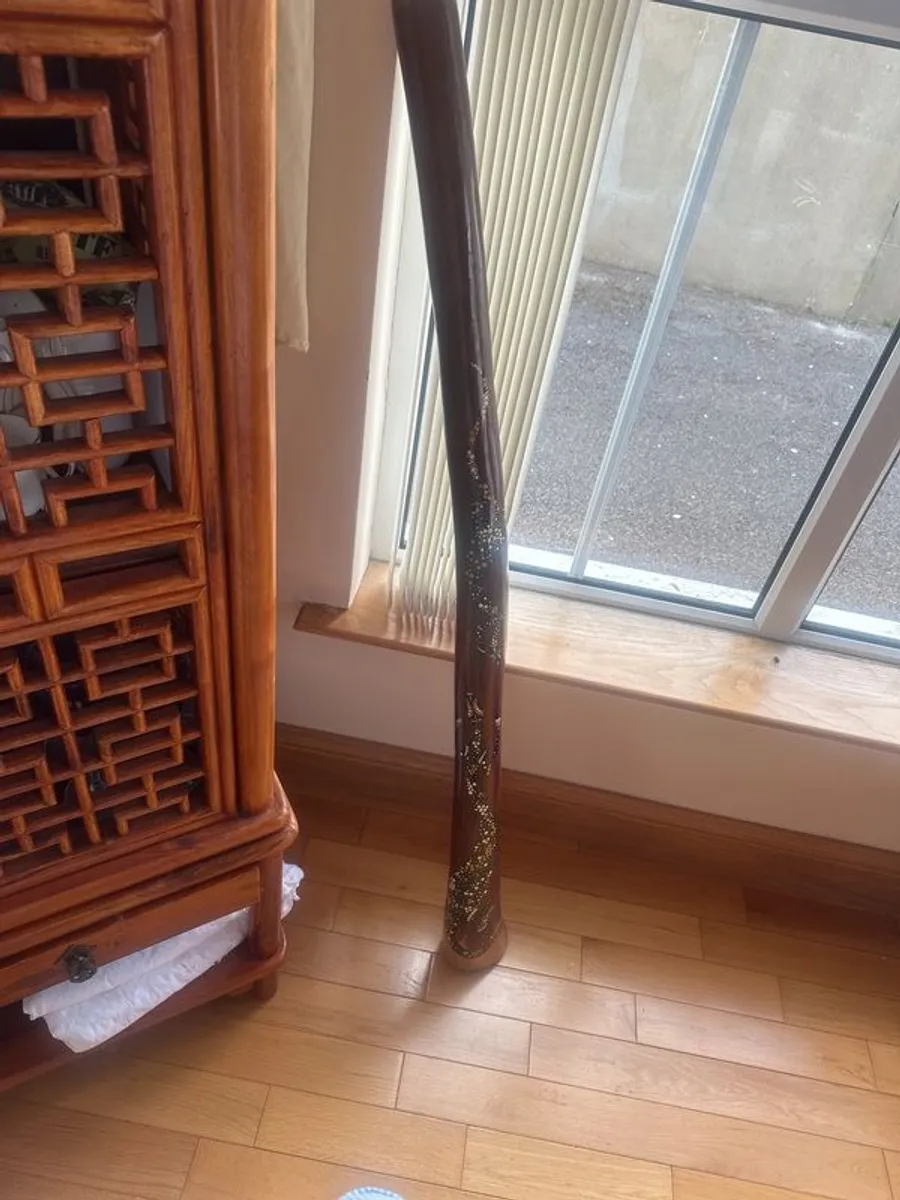 Hardwood Didgeridoo | Hand-Painted Goanna Artwork | Excellent Condition - Image 4