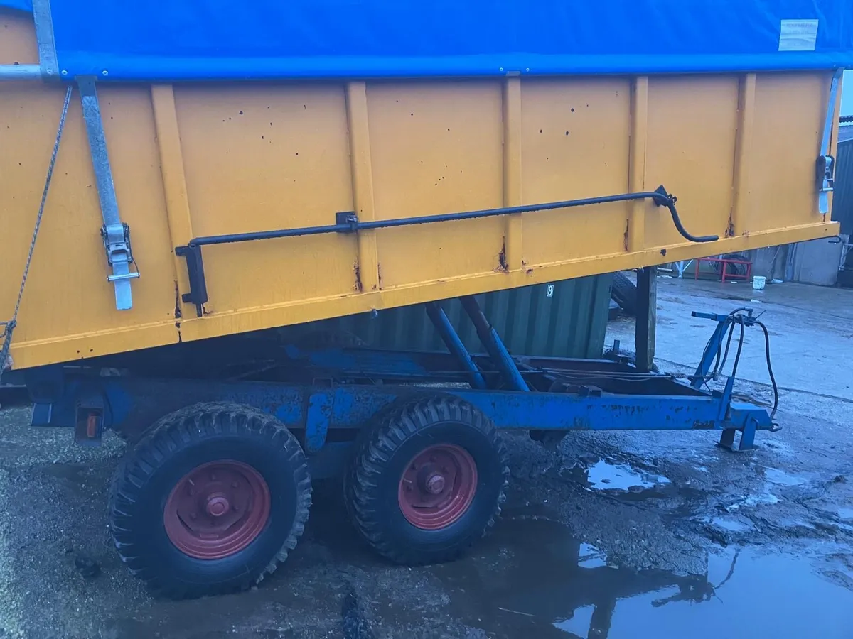 Nut/Grain Trailer - Image 2