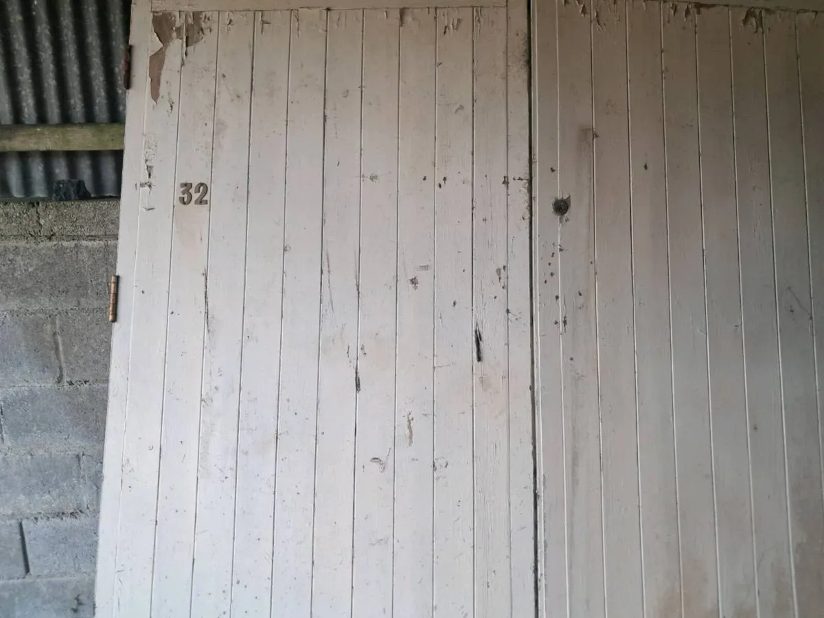 Pair of garage doors - Image 4