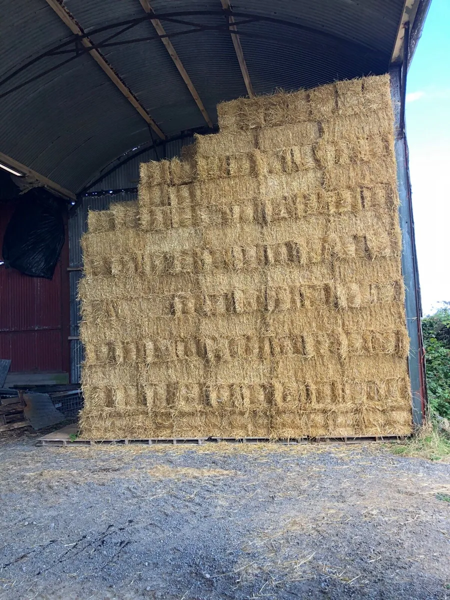 Straw - Image 2
