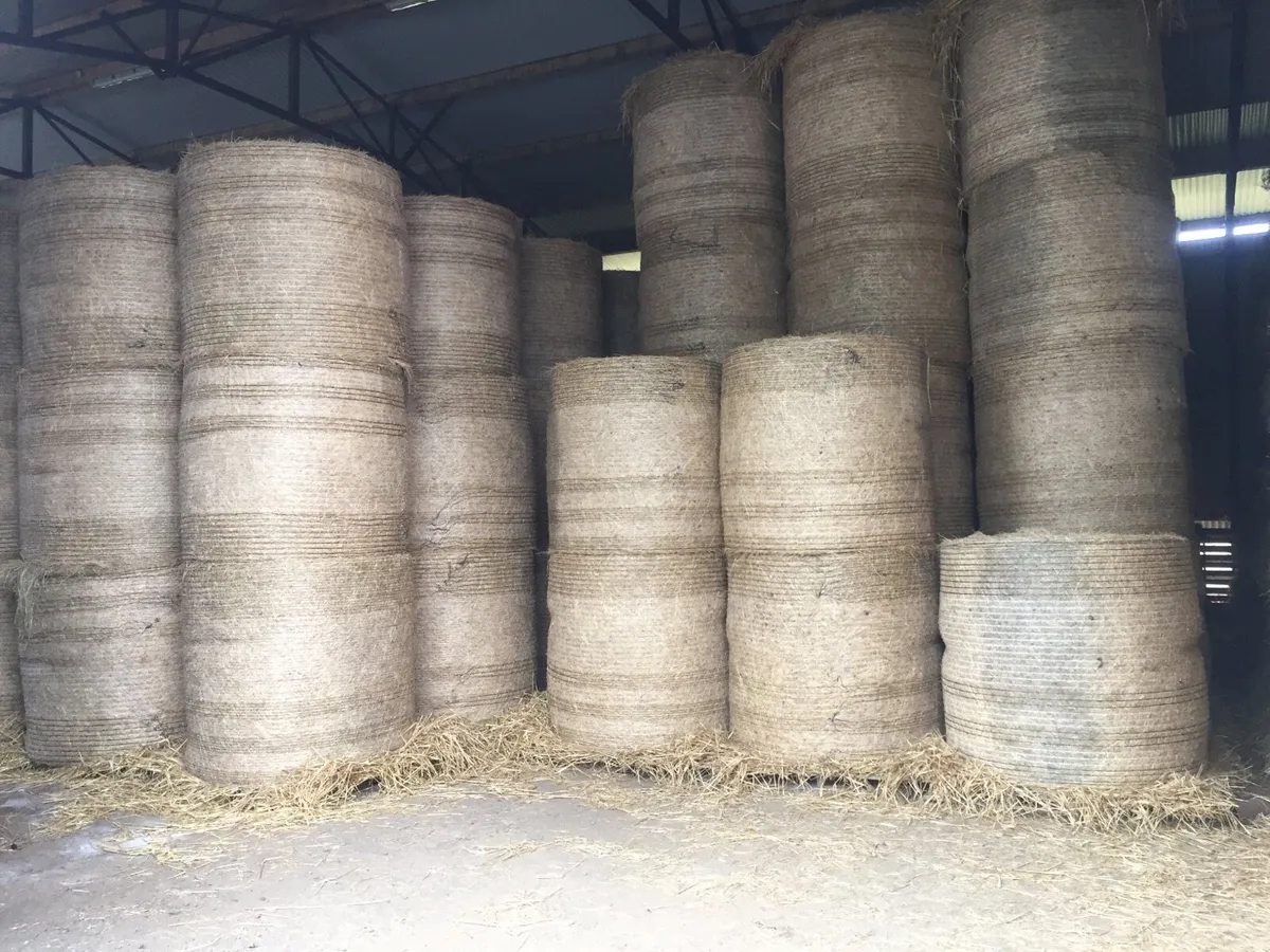 Straw - Image 3