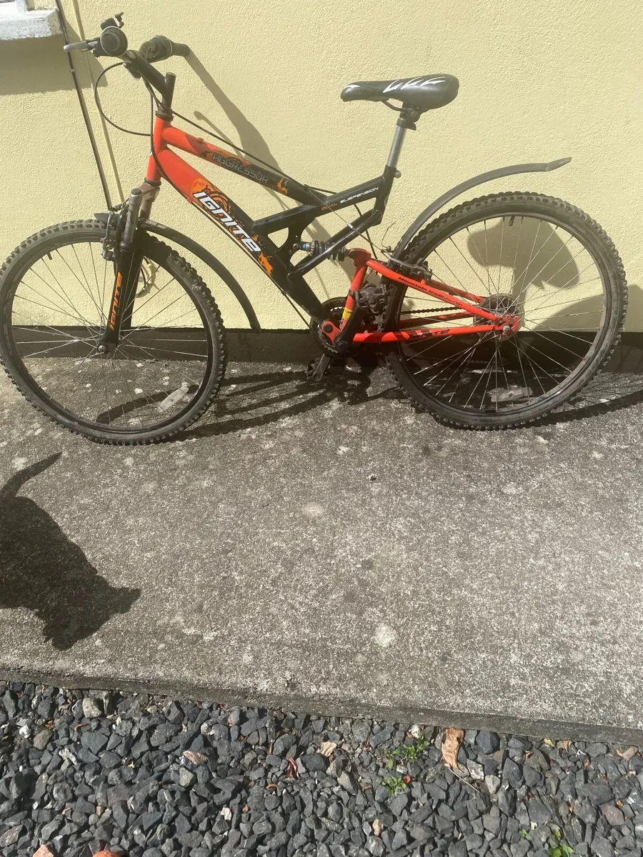 Bike - Image 1