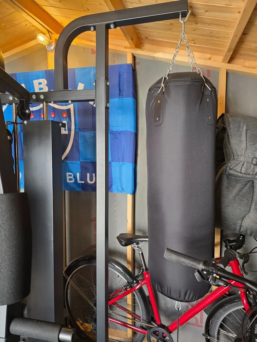 Ironman Advanced IM home gym - Image 3